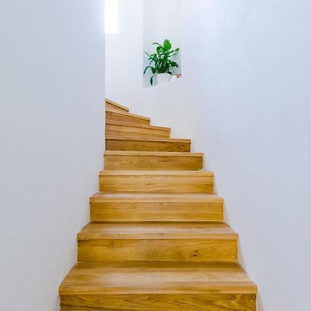 Villa Roma Dubrownik Zewnętrze zdjęcie